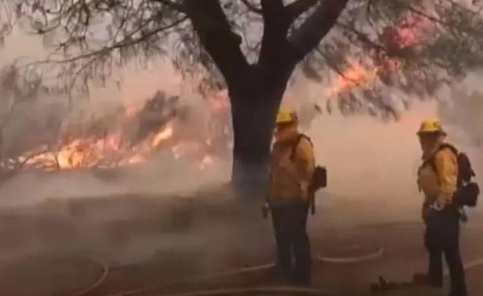 Dampak Kebakaran Hutan di Los Angeles, California Dikabarkan Sempat Lumpuh Total