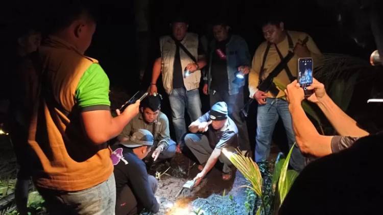 Hati-hati! Jejak Kaki Harimau Ditemukan di Permukiman Warga