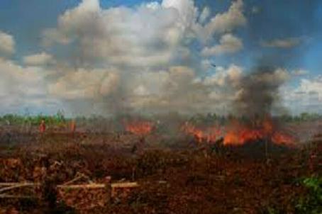 Kabut Asap Kembali Ancam Warga Riau, Kemiskinan dan Ketidakadilan Menjadi Faktor Pemicunya