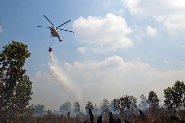 Cegah Munculnya Kebakaran di Lahan Gambut, BNPB Siagakan Helikopter Water Boombing