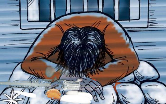 Seorang Bandar Sabu di Kampung Dalam, Berhasil Diringkus Polisi