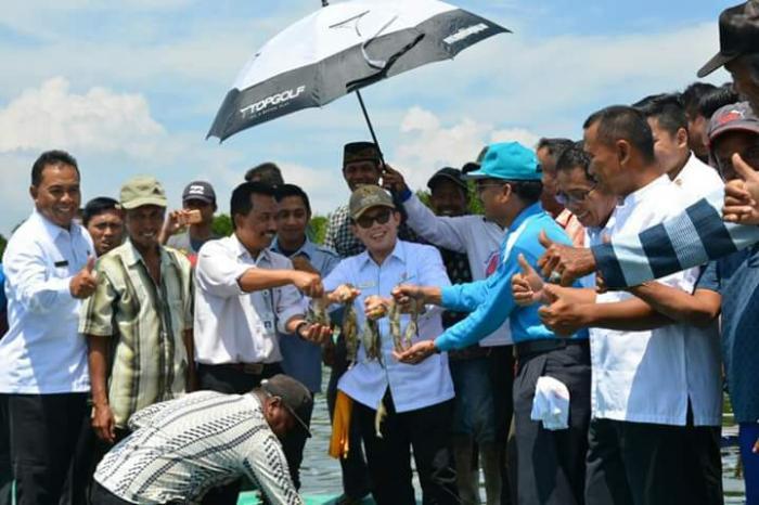 Budidaya Udang Vaname Tingkatkan Ekonomi Masyarakat Dumai