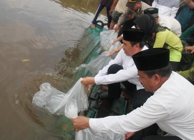Bupati Siak Menabur 2500 Ekor Benih Ikan Patin Ke Sungai Siak