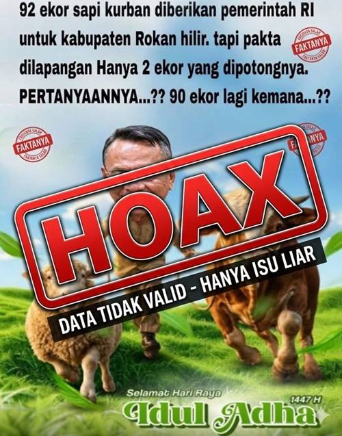 Pemkab Rohil Bantah Rumor 92 Ekor Sapi Kurban dari Presiden, Sekda: Hanya Satu untuk Masjid Besar Al-Hasanah di Kelurahan Bangko Kiri