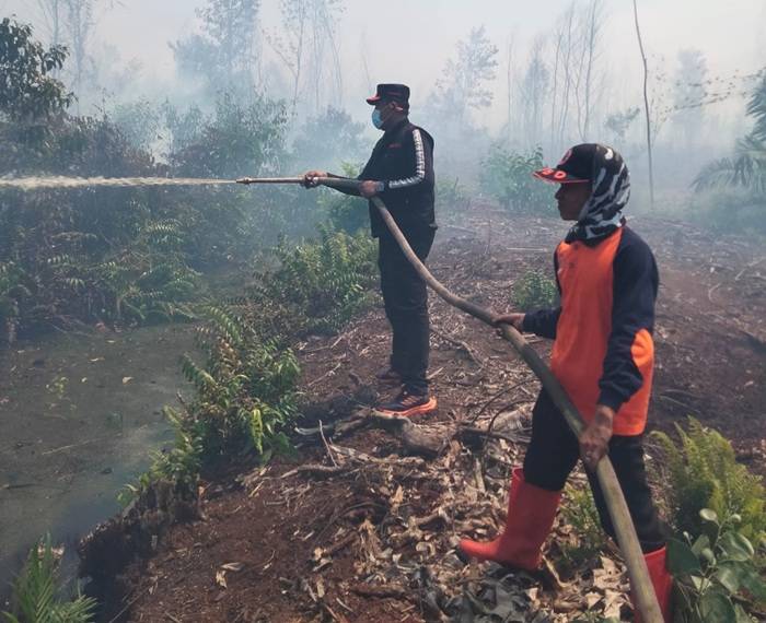 Antisipasi Super El Nino, Bupati Rokan Hilir Terbitkan Maklumat Larangan Bakar Lahan