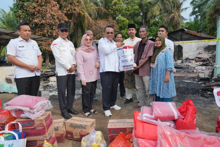 Respons Cepat, Bupati Rohil H. Bistamam Tinjau Kebakaran di Teluk Mega dan Salurkan Bantuan
