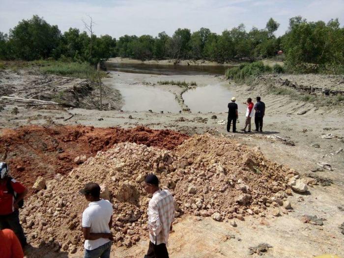  Babat Hutan Mangrove di Kubu, Bupati LSM Lira Rohil Sebut PT MAM Diduga Langgar UU Kehutanan