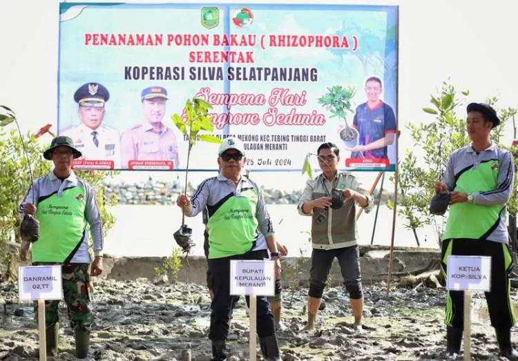 Hari Mangrove Sedunia, Bupati Meranti Tanam 2.000 Bakau 
