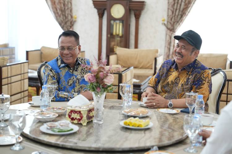Bupati Rohil Temui Kepala Bappenas, Bahas Pengembangan Rumah Sakit