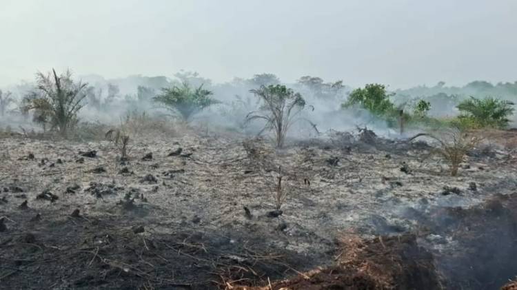 Nihil Hotspot, BPBD Rohil Pantau Berkala Kawasan Rawan Karhutla