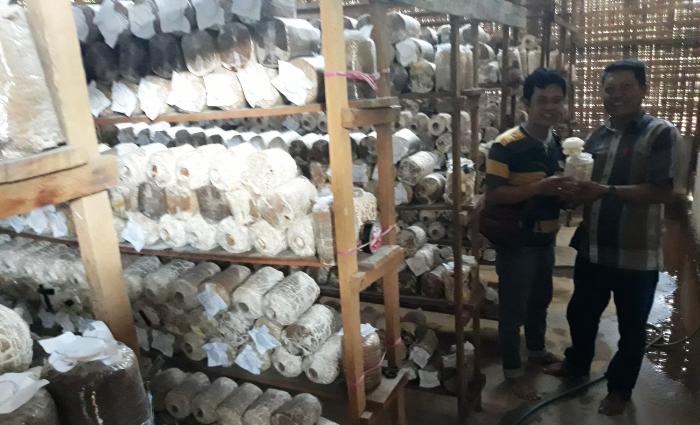 Berkat Pertamina, Suryanto pun Jadi Jutawan