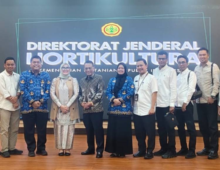 Kampung Nelayan Merah Putih, Pemkab Rohil Targetkan Penataan Kawasan Pesisir Terpadu